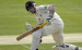 RobsonBat2