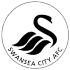 swansea city profile 1