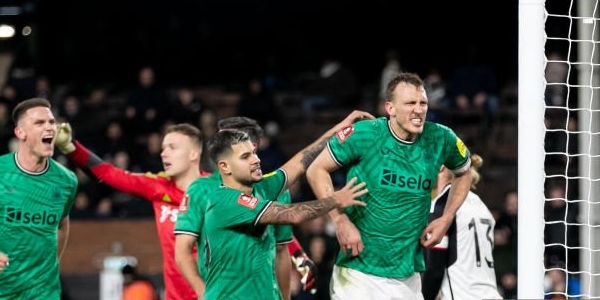 Newcastle send Fulham out of FA Cup