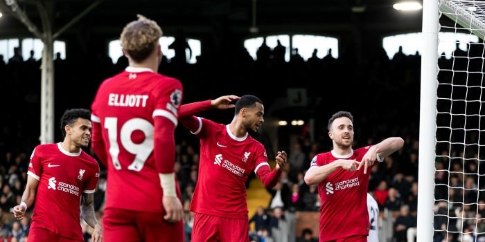 Title-chasing Liverpool prove too strong for Fulham
