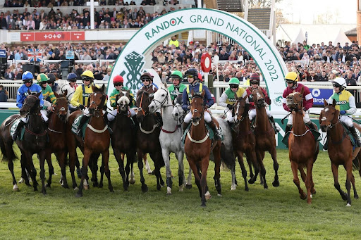 Remembering Manifesto: The horse with the most runs in Grand National history