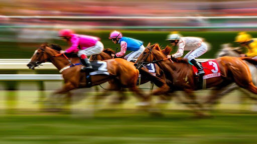 Exploring the Dynamics of Point-to-Point Horse Racing in Ireland: A Deep Dive