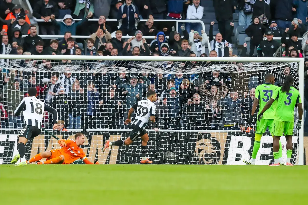 Fulham beaten by late Newcastle winner