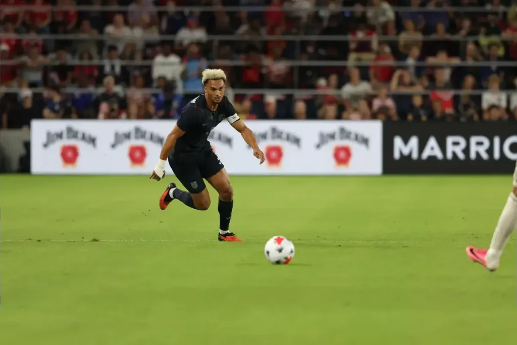 Fulham’s Robinson nursing ankle problem